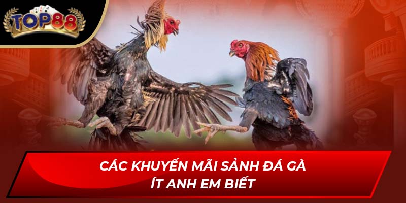 Các khuyến mãi sảnh đá gà ít anh em biết