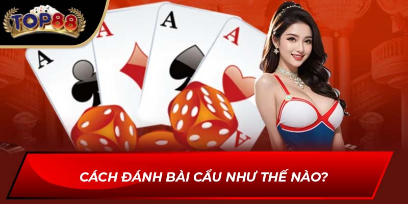 Cách đánh bài cẩu như thế nào?