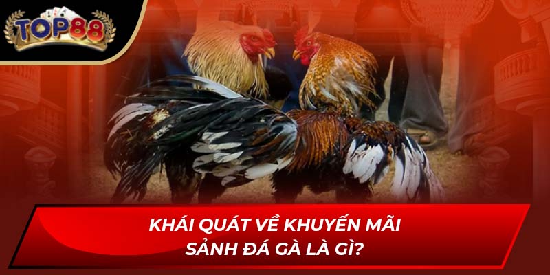 Khái quát về khuyến mãi sảnh đá gà là gì?